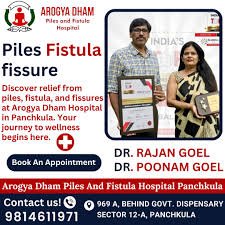 Find premier Ayurvedic treatment for piles in Haryana at our esteemed hospital. Experience specialized care, proven remedies, and relief that lasts. Schedule your consultation today